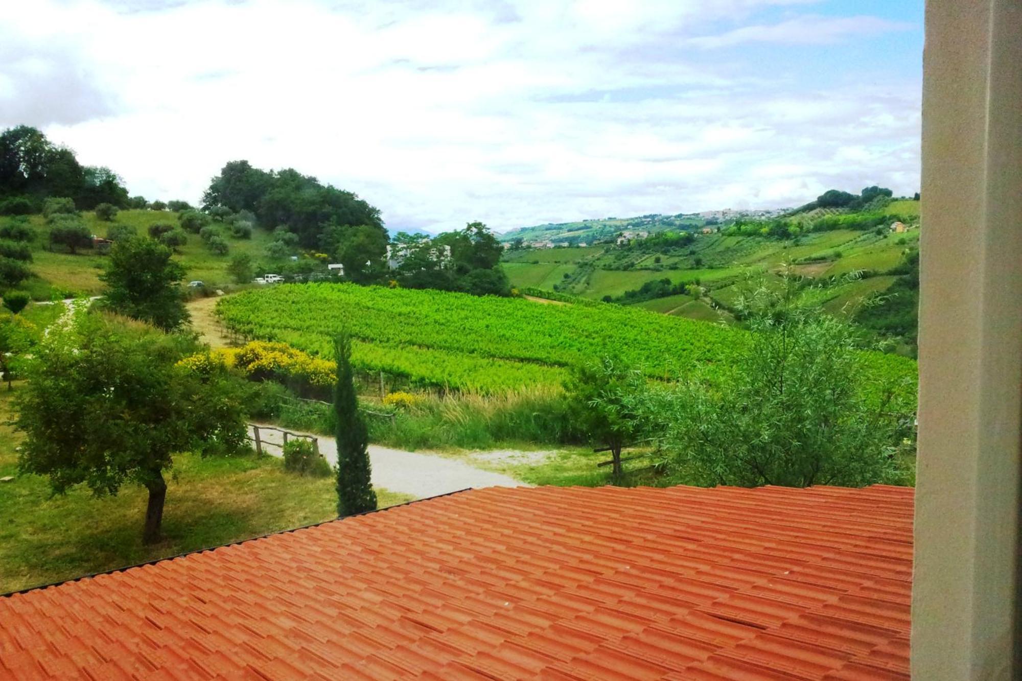 Farm stay Campoletizia Miglianico