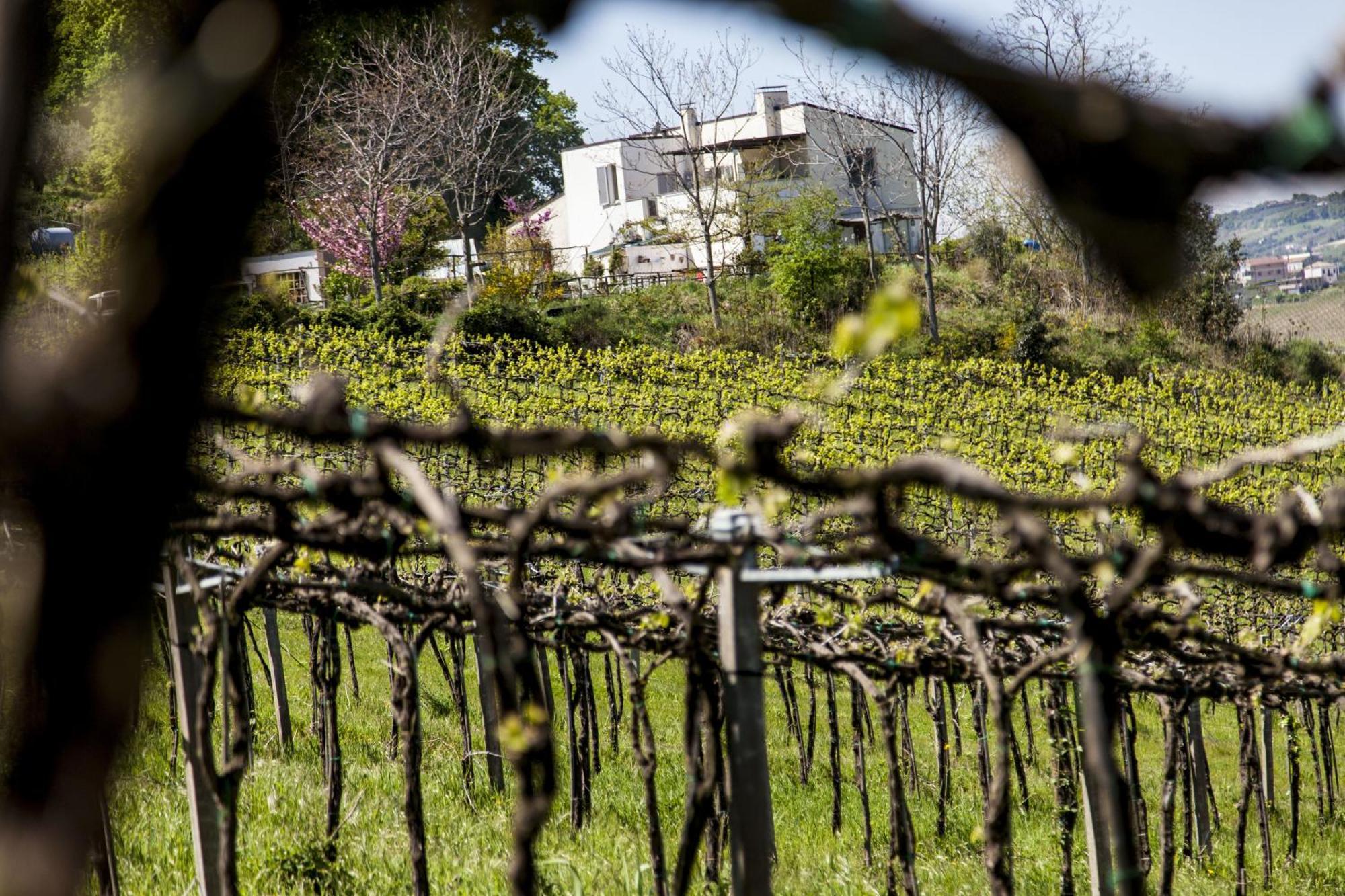 Campoletizia Alojamento de Turismo Rural