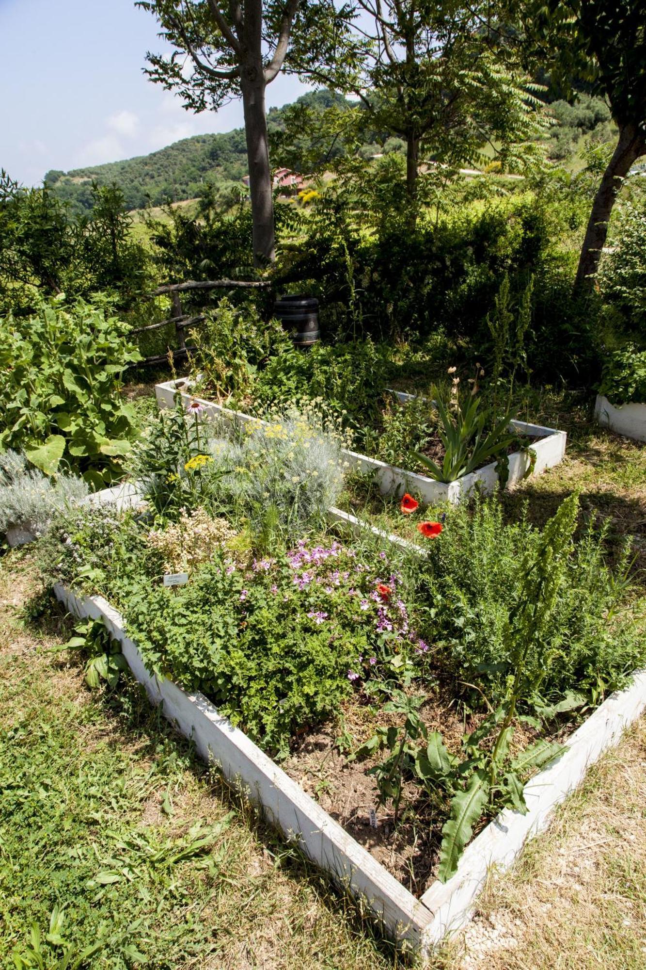 Campoletizia Farm stay Miglianico