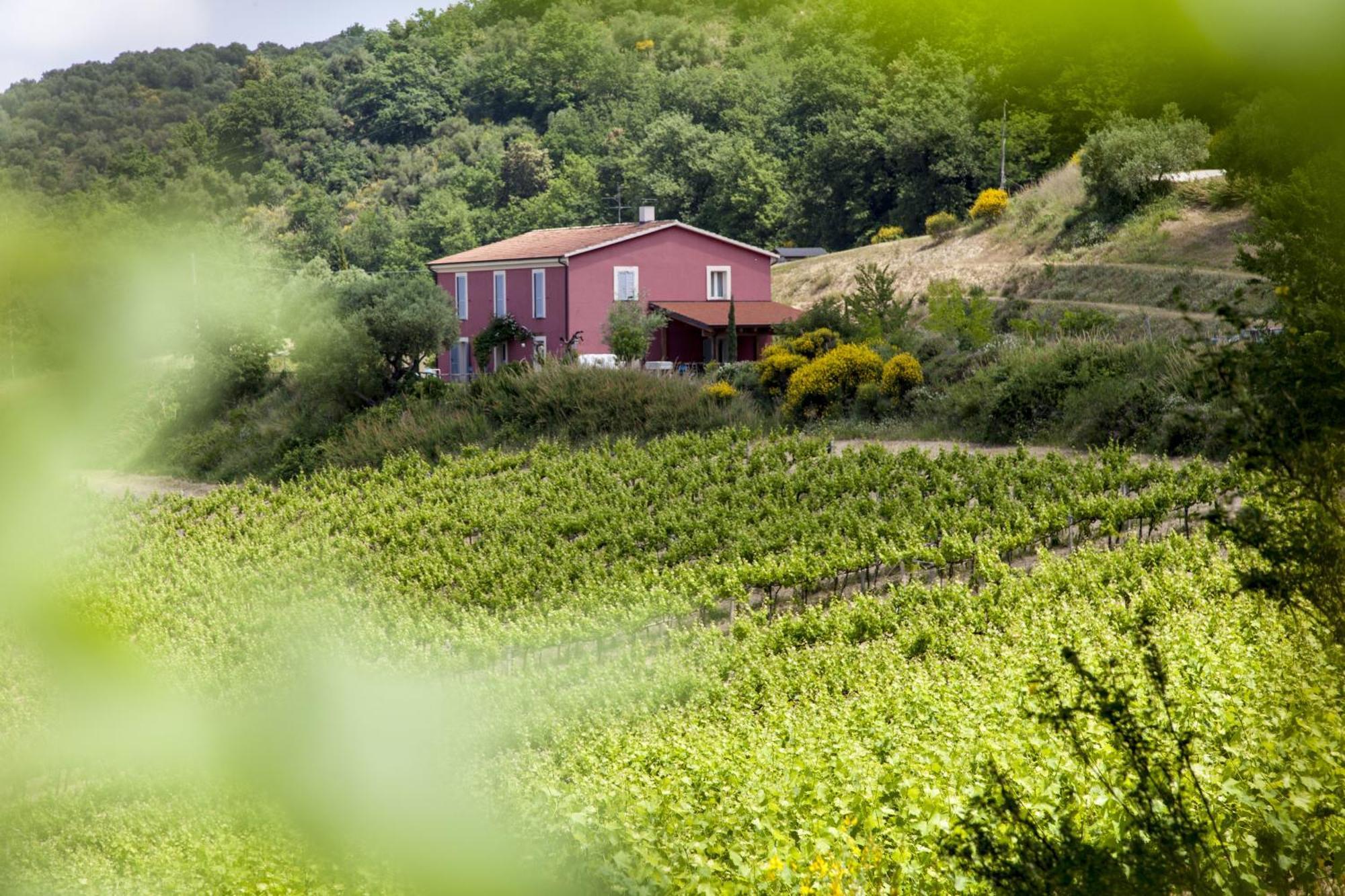 Farm stay Campoletizia