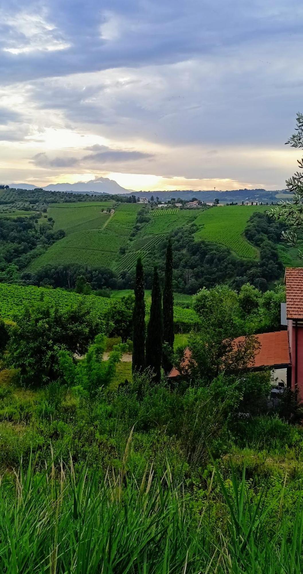 Farm stay Campoletizia Miglianico